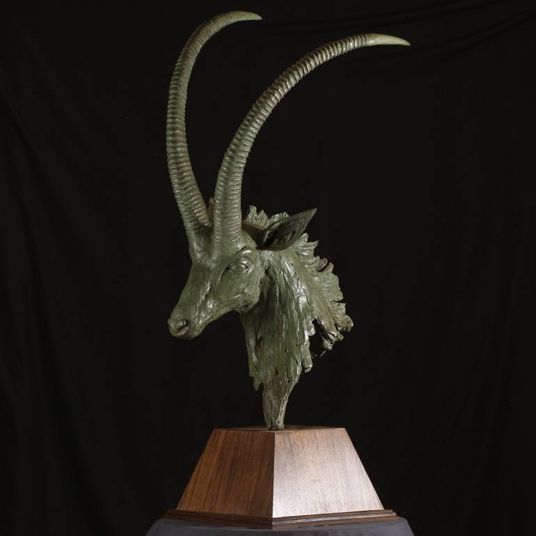 Sable Antelope Bust - Bronze - Print