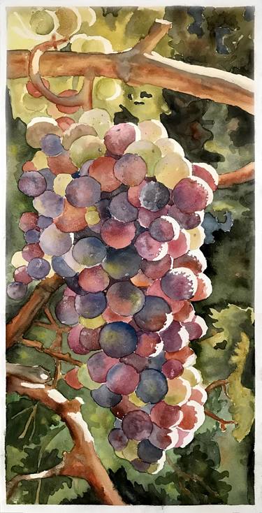 colorful grape thumb