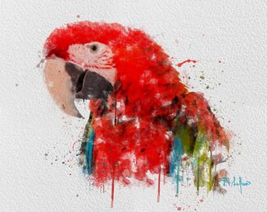 Watercolour Parrot thumb