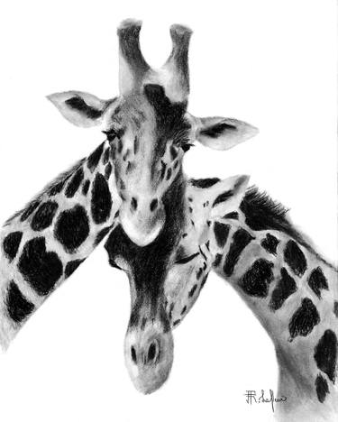 Print of Animal Drawings by Ronel Lafleur