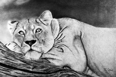 Print of Animal Drawings by Ronel Lafleur