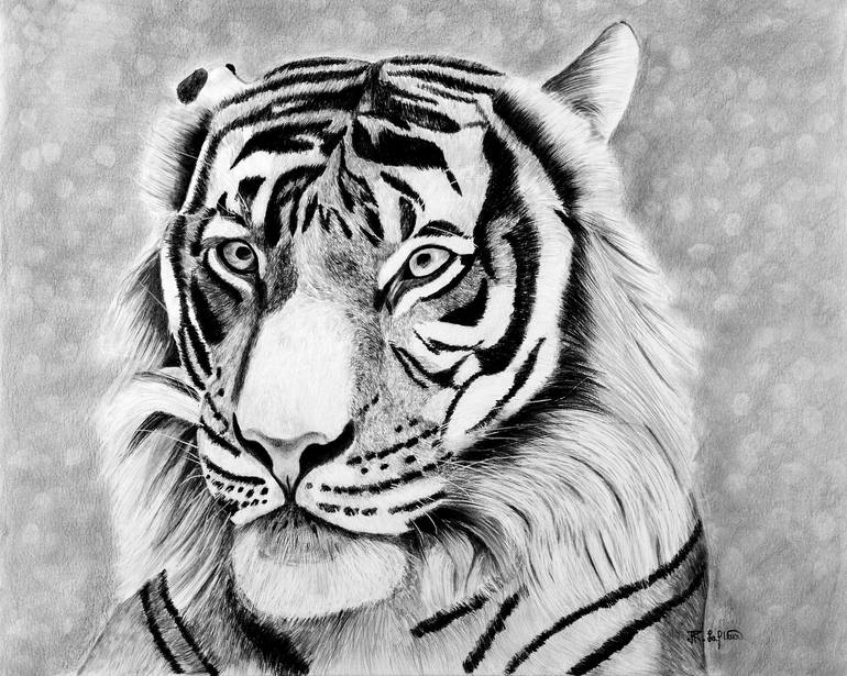 Majestic Tiger Portrait Drawing by Ronel Lafleur | Saatchi Art