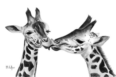 Original Animal Drawings by Ronel Lafleur