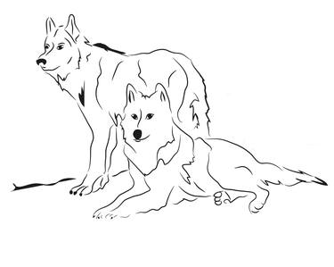 Original Digital Art Animal Digital by Olga Manuilova