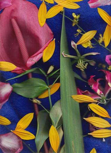 Print of Abstract Floral Mixed Media by Olga Li