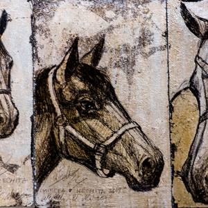 Collection Horses