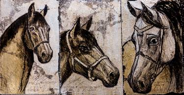 Portraits of horses thumb
