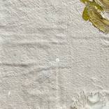 salt and sand no.5 by Crystal Michaelson