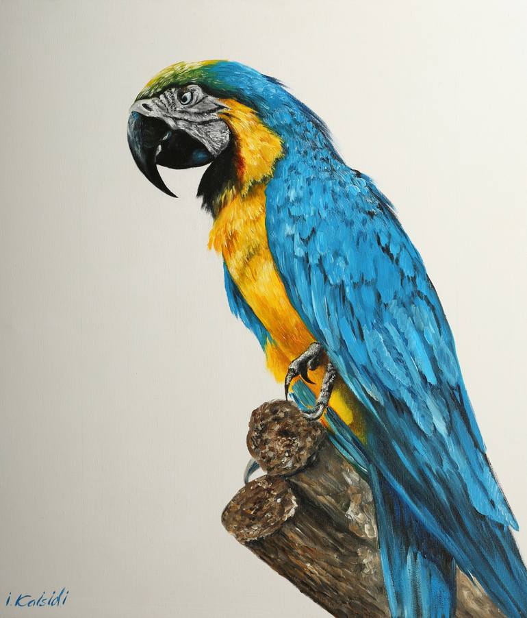 Wall Art Home Decor Colorful Parrot Birds Oil Painting Picture Printed on Canvas 