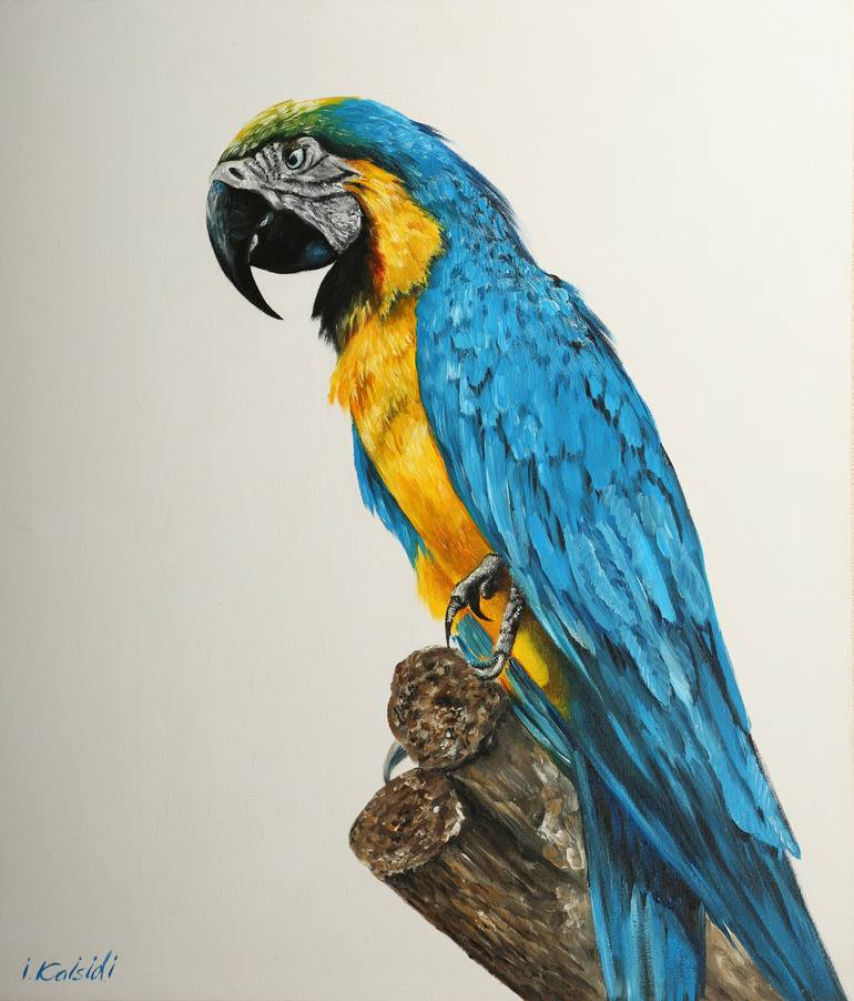 Original on canvas, Ara parrot, Bird, Room Decor, Colorful Painting, Gift Painting by Isidor Kaisidi | Saatchi Art