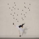 Collection The Art of Dance