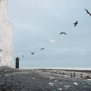 Collection Large-Scale Photography
