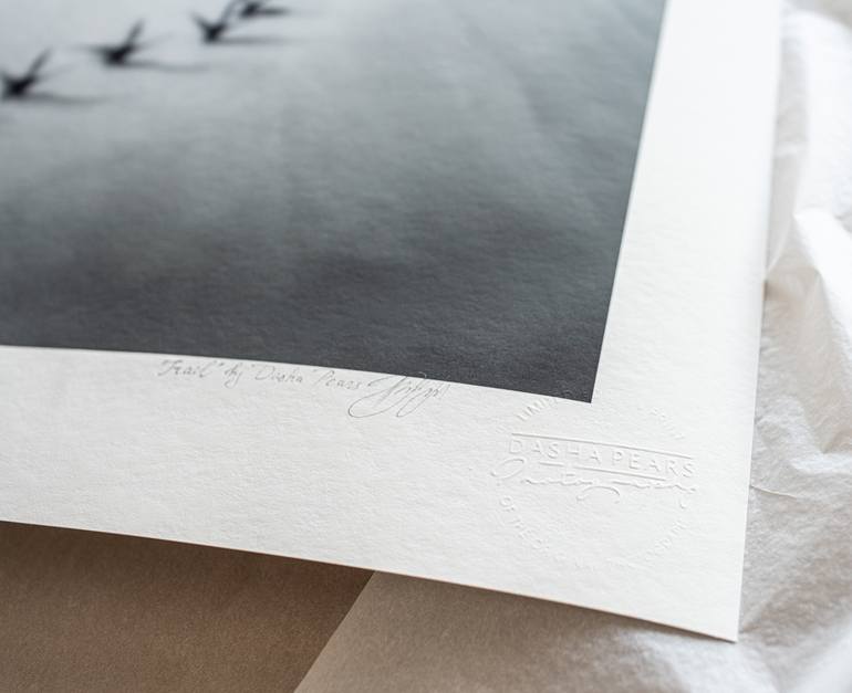 Original Conceptual Typography Photography by Dasha Pears