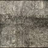 Field Outside of Upland by Josh Welker