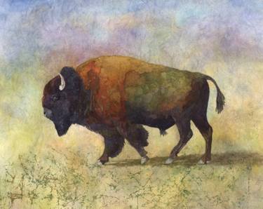 Bison Bull thumb