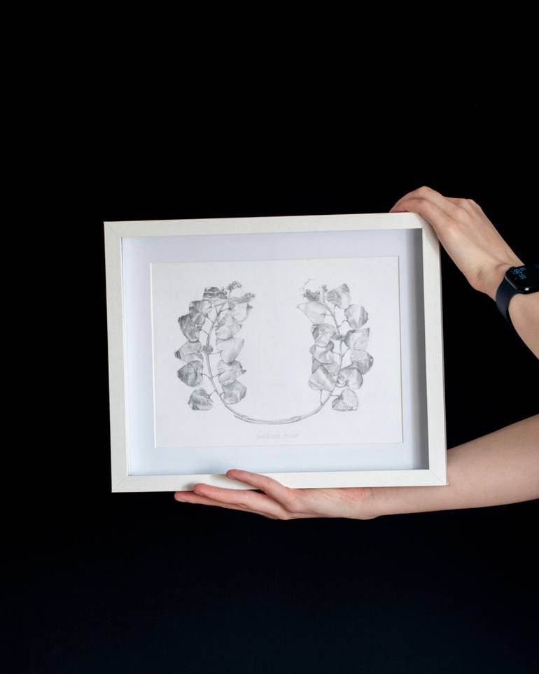 Original Minimalism Botanic Drawing by Irina Anikina