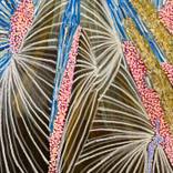 Towering Skyward: Filifera Palms by Kera Morgan