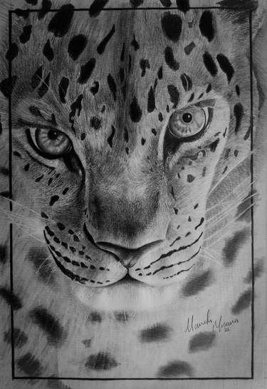 Original Realism Animal Drawing by NEBERT MWENYI