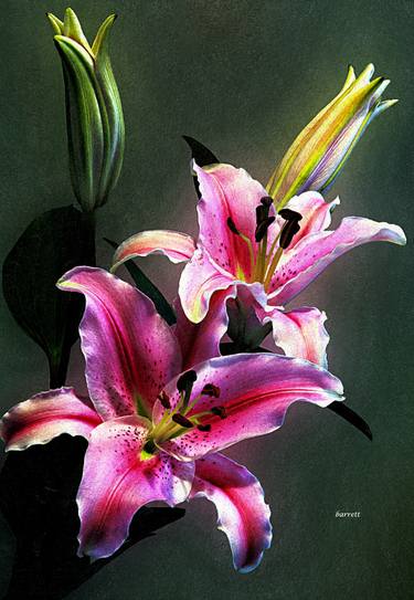Original Fine Art Floral Mixed Media by Don Barrett