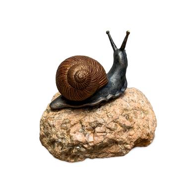 Snail thumb