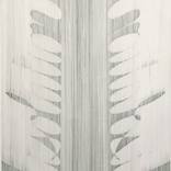 Collection Form & Focus