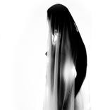 SHEER 3 - Limited Edition of 3 by M A Davidson