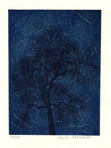 Original Fine Art Nature Printmaking by Julia Pärnänen