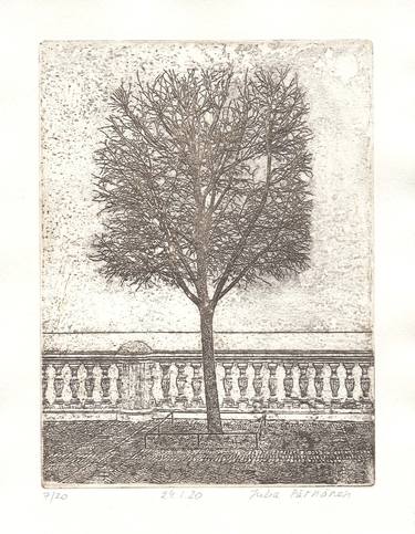 Original Fine Art Tree Printmaking by Julia Pärnänen
