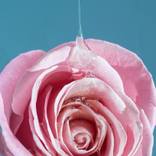 Pull me closer - Limited Edition of 10 by Emily May