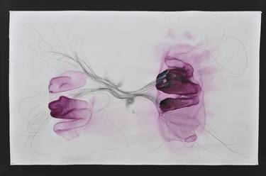 Violet Watercolor and Graphite on paper thumb