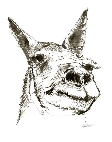 Print of Figurative Animal Drawings by Dan Tomberlin
