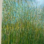 Peaceful Fields by MARGARET REHWINKEL