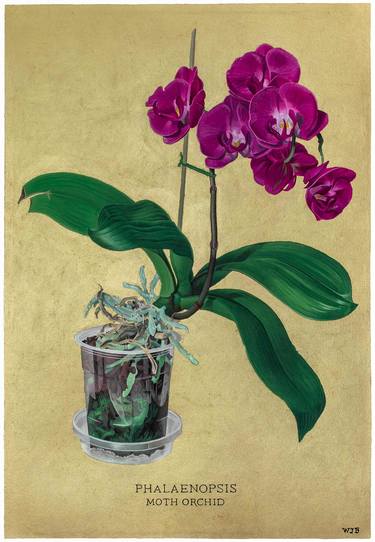 Original Figurative Botanic Paintings by Will J Bailey