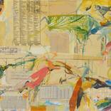 Collection Avian on Canvas