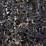 Collection Inspired by Jackson Pollock