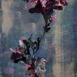 Collection Art for Fresh Starts