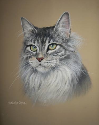 Original portrait of maine coon cat thumb
