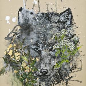 The Wolf Protection Spell. Yarrow, Basil, and Bay