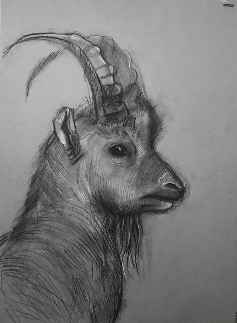 The Human Goat Drawing by Alice Borisova | Saatchi Art