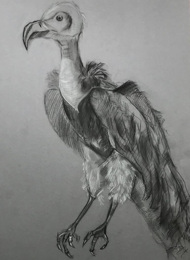 pencil drawings of griffins