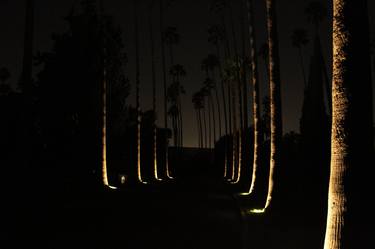 Enlightened palm trees - Limited Edition of 10 thumb