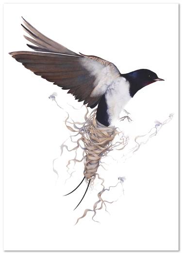 Swallow trapped 3/30 Limited edition of prints thumb