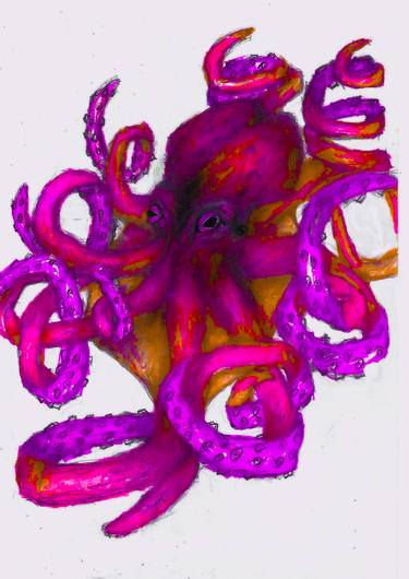 octopus thumb