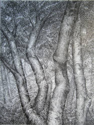 Original Tree Drawing by Isabelle Stagg