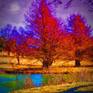 Collection Landscapes / Waterscapes