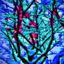 Collection Abstract / Surreal