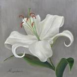 White Lily by Marina Rogusheva