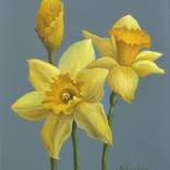 Yellow daffodils original oil painting by Marina Rogusheva