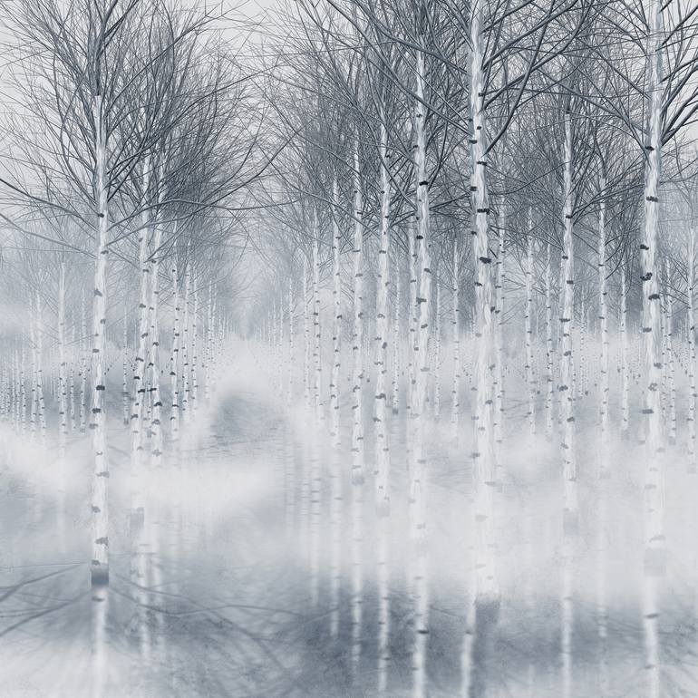 Birch trees forest - Print
