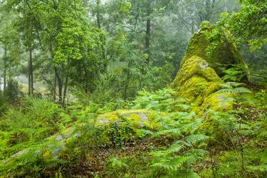 Print of Landscape Photography by Cesar Torres